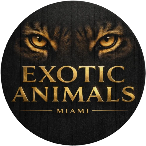 exotic-logo-round