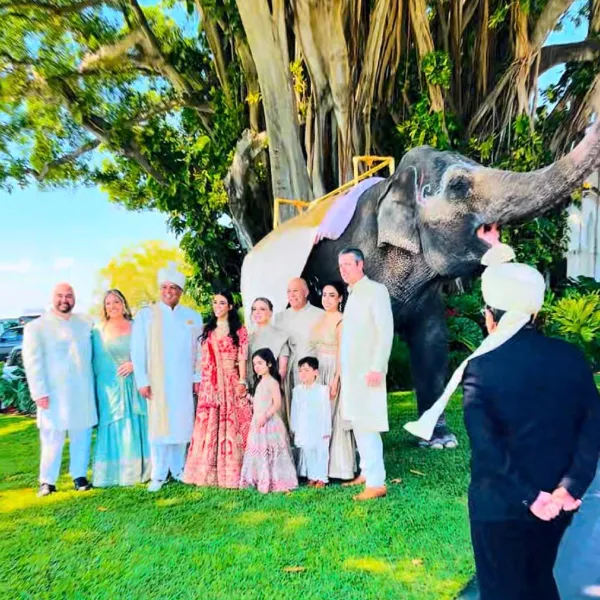 elephant-img-9